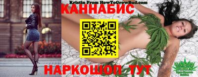 молекула духа Коммунар