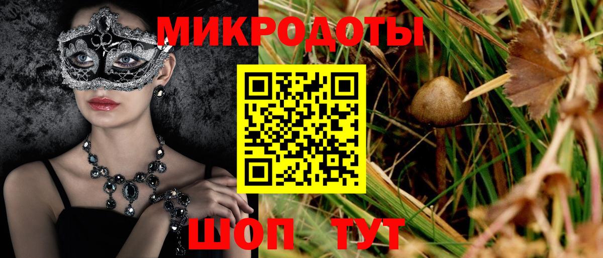 Купить закладку  Бошки Шишки  ЭКСТАЗИ  Alpha PVP СОЛЬ кристаллы  Кашира  Мефедрон кристаллы  Вход с VPN  ГАШИШ 
