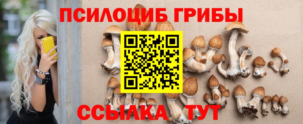 Кашира  Галлюциногенные грибы мухоморы  Вход с VPN 